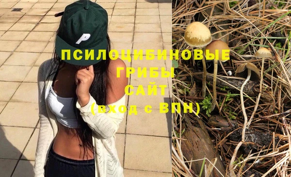 прущая мука Гусев