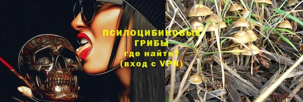 первитин Гусиноозёрск